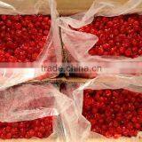 Dried Fruits-cherry thumbnail-1