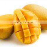 Mango Pulp Available in Large Quantity thumbnail-1