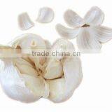 Fresh Garlic Peeled Pure White thumbnail-1