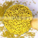 2014 June Fresh Yellow Rape Bee Pollen Grain