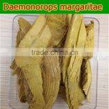 Herbal Medicine Common Fibraurea Stem Treating Diabetes thumbnail-1