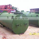 High Quality Professional Mini Palm Trees Plant