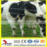 Galvanized Cattle Fence / Grassland Fence thumbnail-1