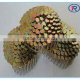 China Good Quality Cheap Steel Coil Roofing Nails thumbnail-1