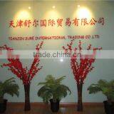 Tianjin Sure International Trading Co., Ltd. company overview - view 2 thumbnail