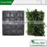 Living Wall With Irrigation System, Green Wall With Irrigation System
