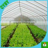 Woven Agricultrual Greenhouse Plastic Film/greenhouse Cover in Rolls thumbnail-6