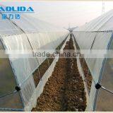 Baolida Cheap PE Film Tunnel Greenhouse Mushroom Greenhouse thumbnail-2