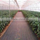 pp Woven Ground Cover Cloth thumbnail-5