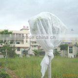 China Polypropylene Nonwoven Fabric , Weed Control,grape Cover thumbnail-2