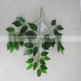 SJ7001007 Decorative Plant Foliage Leaf Wholesale/artificial Chinese Ficus Leaves thumbnail-2