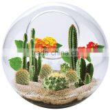 Acrylic Globe Terrarium thumbnail-3