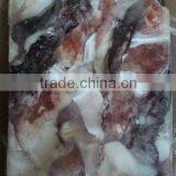 Frozen Giant Squid Neck thumbnail-2