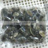 V-packed Cooked Short Clam Necked in Shell thumbnail-1