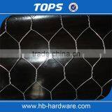 Hebei Factory Supply Fine Hexagonal Wire Netting/Gabion Slope Protection Netting/Cabion Wire Roll(Manufacturer) thumbnail-5