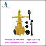 China Price API 6A Mud Gate Valve thumbnail-4