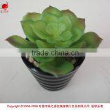 Wholesale Artificial Plants Mini Succulents for Indoor Decoration thumbnail-3
