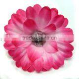 2inch Gradient Gerbera Daisy Flower/accessory