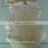 Rex Rabbit Fur Plate With Cheap Price for Garment Accessory Tp12 thumbnail-3