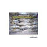 Sell Horse Mackerel/Scad thumbnail-1