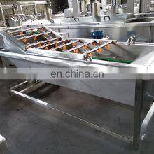 Ce Fruit And Vegetable Washing And Drying Machine Chilli Washing Machine Industrial Fruit Bubble Washing Machine thumbnail-1