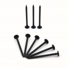 Black Common Nails - Blacked Surface Treatment for Corrosion Resistance thumbnail-3