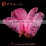 China HX Wholesale Cheap Big Size White Ostrich Feathers for Sale thumbnail-5