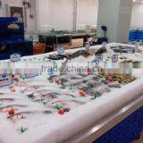 APEX Custom Make Stainless Steel Refrigerated Fish Display Table thumbnail-1