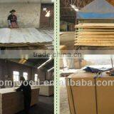 12mm Plywood Price of Marine Plywood in Philippines for Prices Plywood thumbnail-6