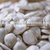 Dalian East Dawn Shine Skin Pumpkin Seeds Suppliers thumbnail-3