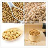 Hot Sale Textured Protein Mini Food Maker thumbnail-3