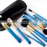 Blue 10 Piece Animal Hair Angled Wooden Make-up Brush Set With Pouch