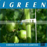 Tomato Clip for Vegetable in Greenhouse thumbnail-1