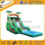 Favorite Inflatable Slides for Funny Sport A4072