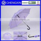 Plastic Straight Purple Umbrella
