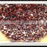 Buckwheat Market Price thumbnail-1