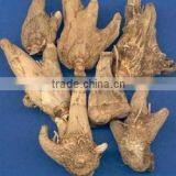 Natural Bletilla Tuber thumbnail-1