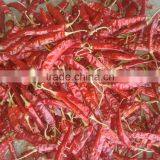 Red Chilli thumbnail-3