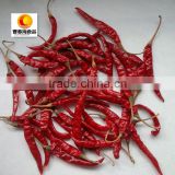 China supplier dried red whole s17