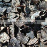 High Quality Wild Black Truffle 100% Wild Truffle for Sale thumbnail-6
