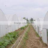 Agriculture Greenhouses in China thumbnail-2