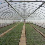Tunnel Greenhouse thumbnail-1