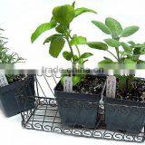 Wire Basket 3 Herb Set, Herb Planter Set thumbnail-1