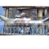 Ox White Drinking Horns thumbnail-5