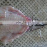 Frozen Monkfish Skin-on Tail thumbnail-1