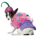 Cupcake Pet Costume thumbnail-1