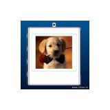 1.5inch digital photo frame with MP3 play
