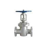 Jacket Gate Valve