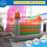 TOP INFLATABLES New design vinyl inflatable bouncy castle fish water slide
