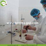 Factory Supply Dried Ningxia Goji Berry thumbnail-4